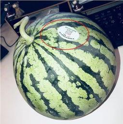 吃瓜网红停车场,吃瓜群众的新聚集地